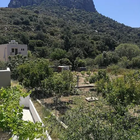 Vasilikis *