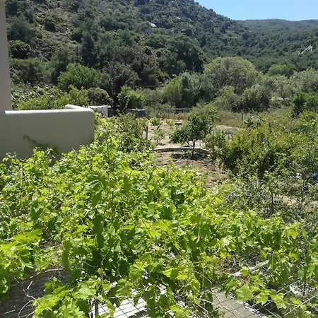 Farm stay Vasilikis Kampos (Kos)