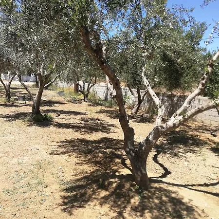 Farm stay Vasilikis