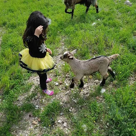 Vasilikis Farm stay *