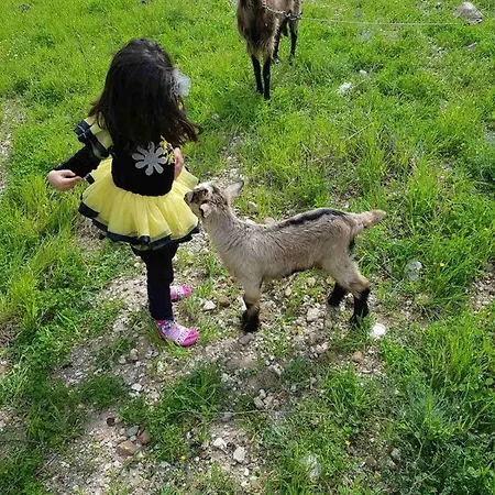 Vasilikis Farm stay *